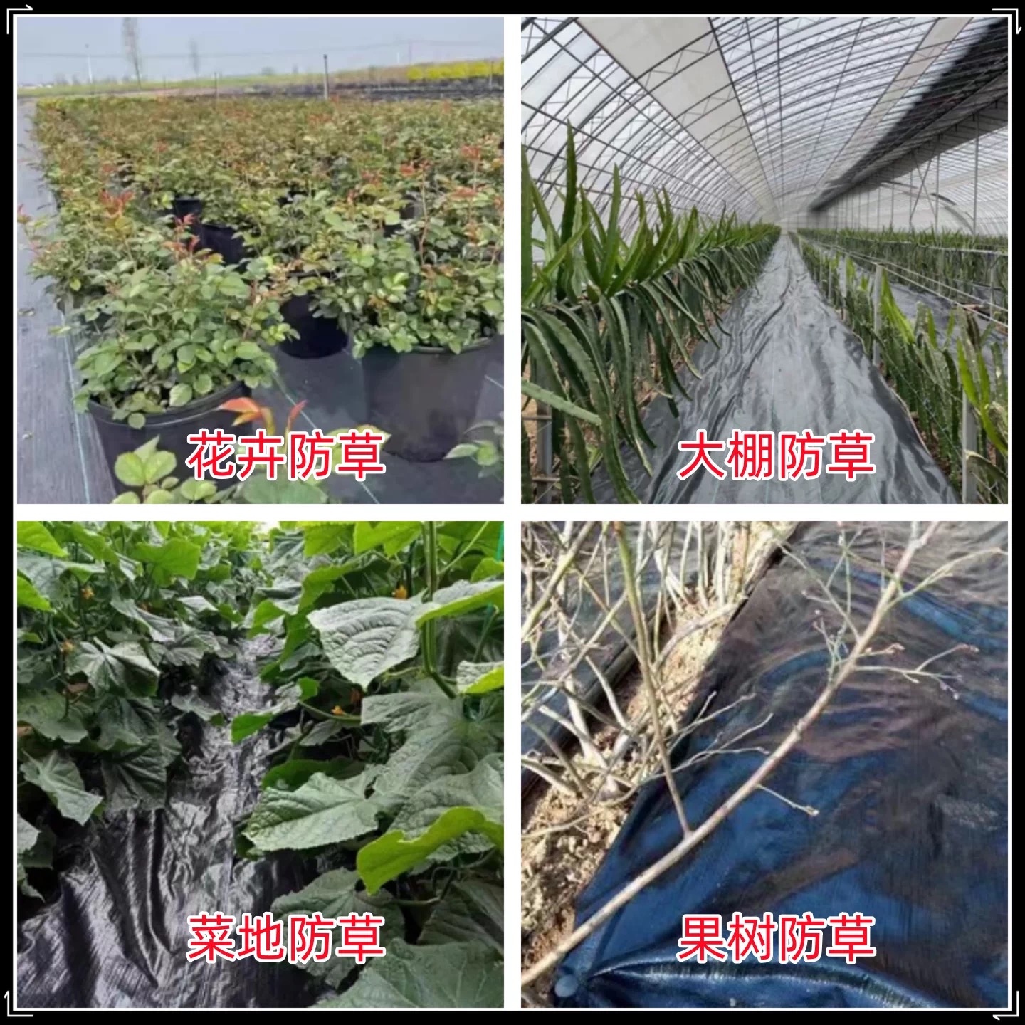 临沂市塑料薄膜防草布 - 价格