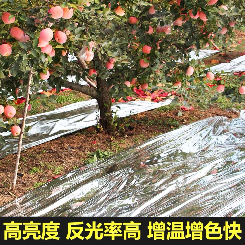 临沂市农用薄膜果树反光膜 - 一站式服务